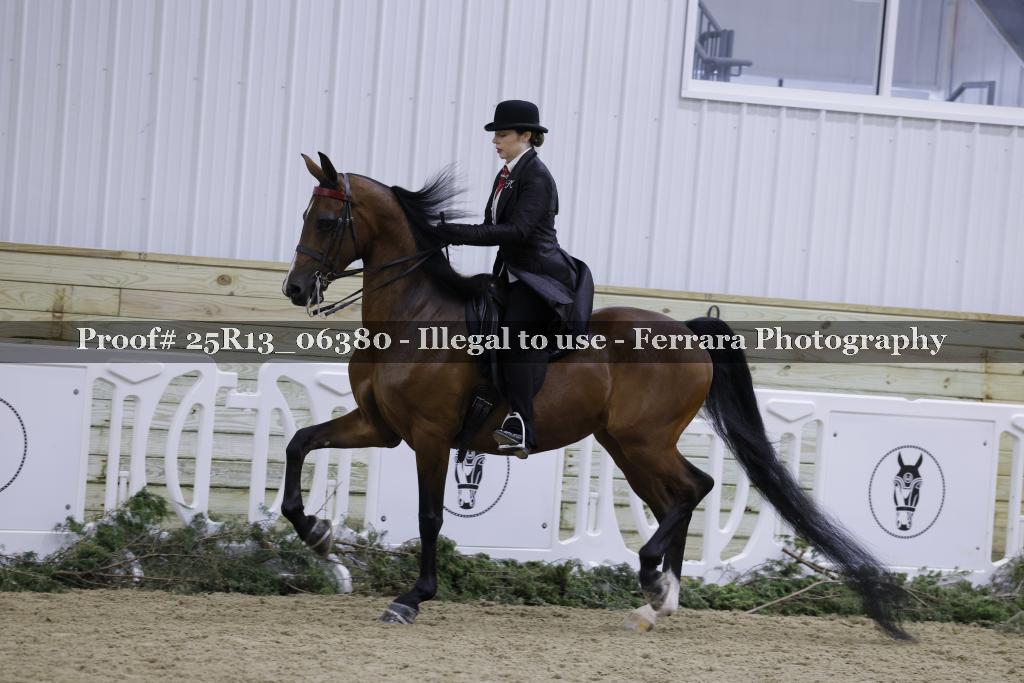 Proof Number 25R13_06380