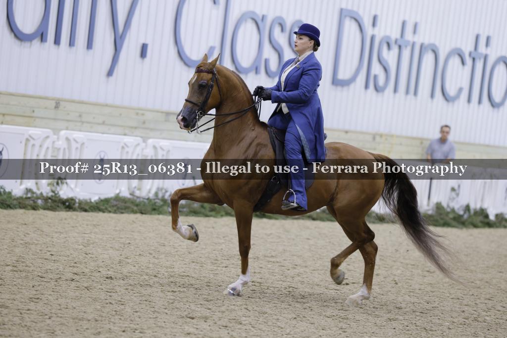 Proof Number 25R13_06381