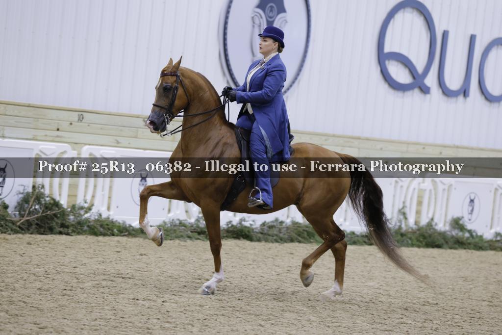 Proof Number 25R13_06382