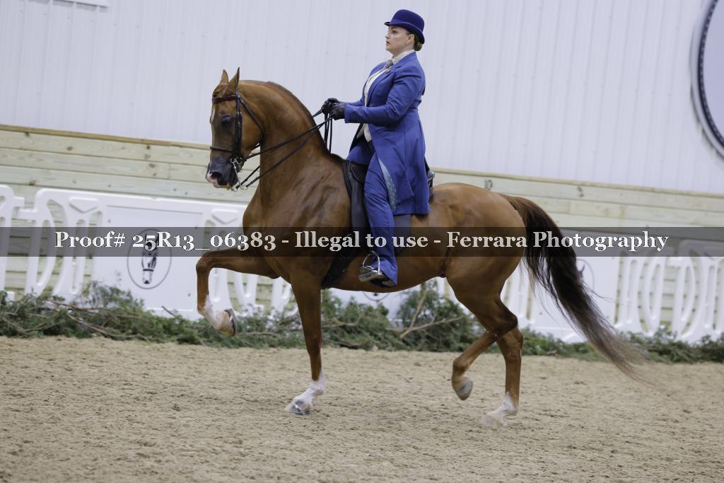 Proof Number 25R13_06383