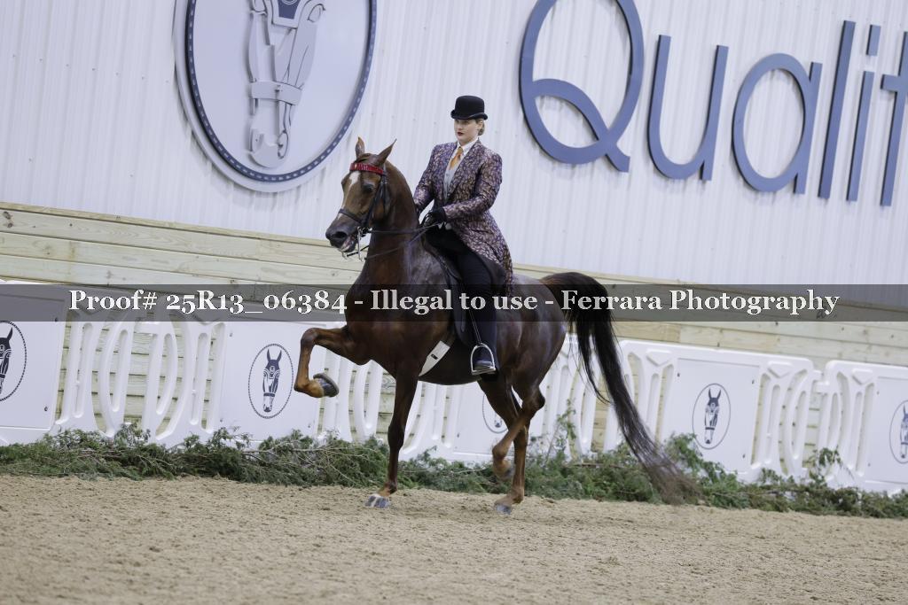 Proof Number 25R13_06384
