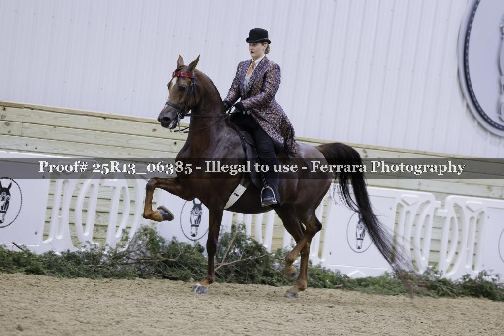 Proof Number 25R13_06385