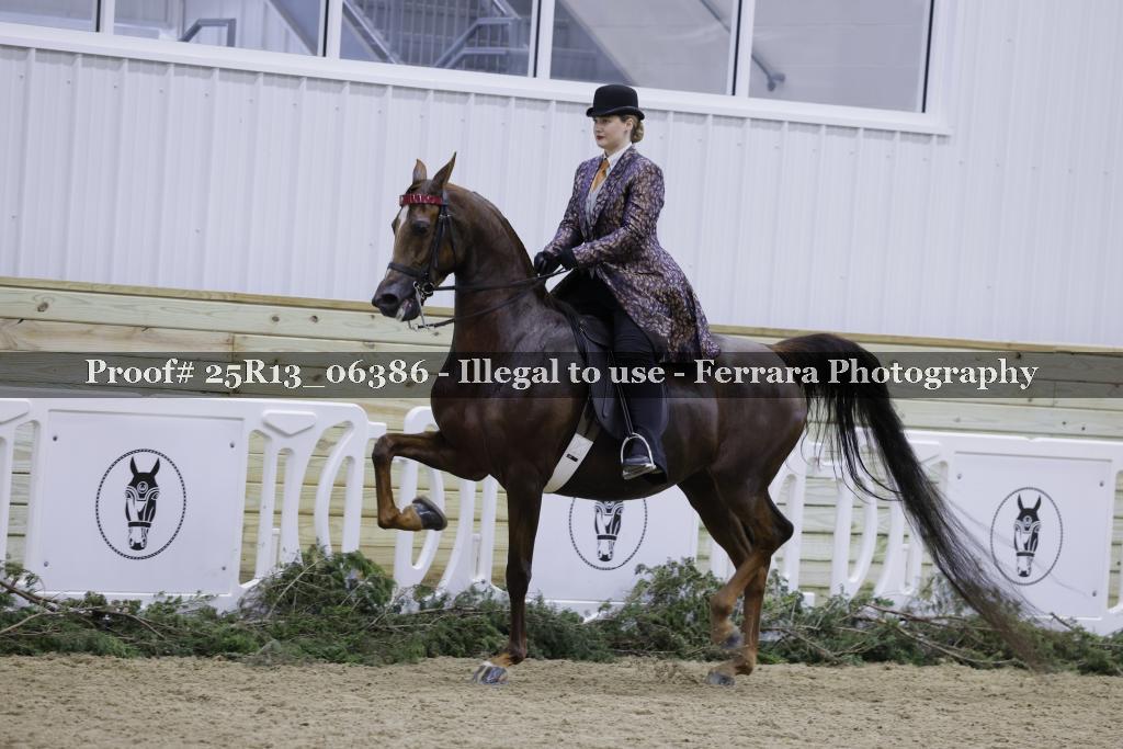 Proof Number 25R13_06386