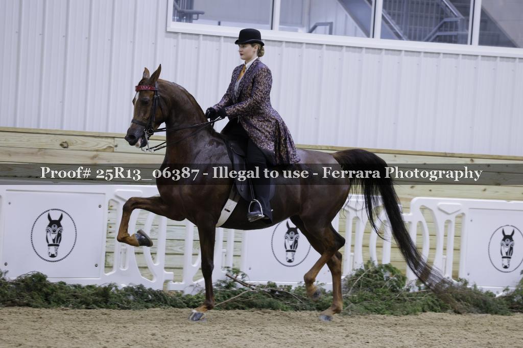 Proof Number 25R13_06387