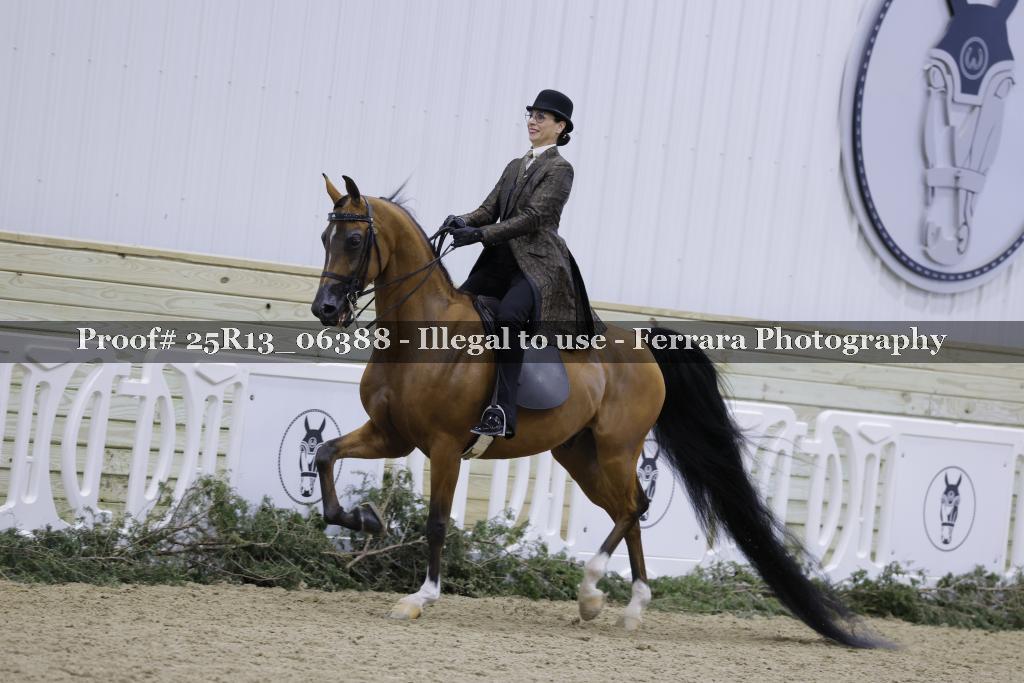 Proof Number 25R13_06388
