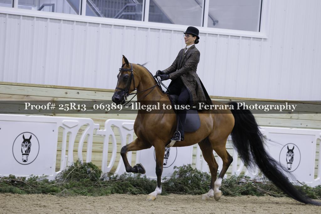 Proof Number 25R13_06389