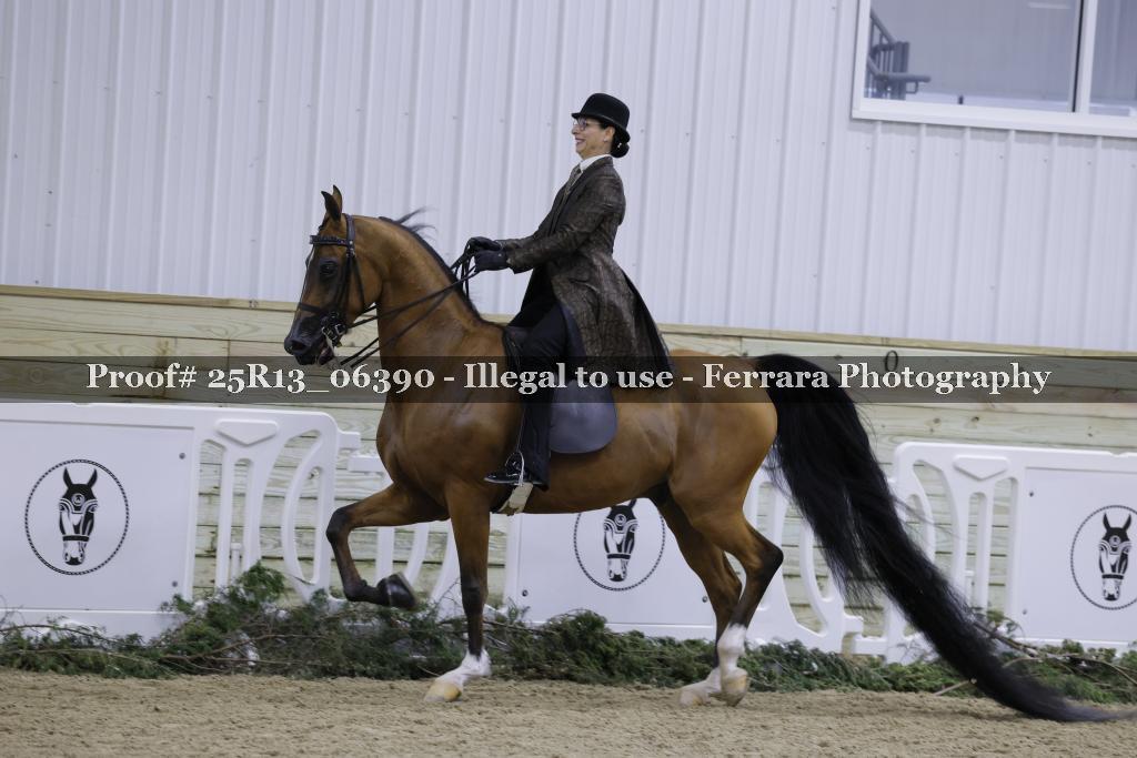 Proof Number 25R13_06390