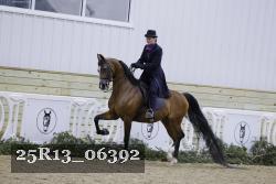 25R13_06392 thumbnail