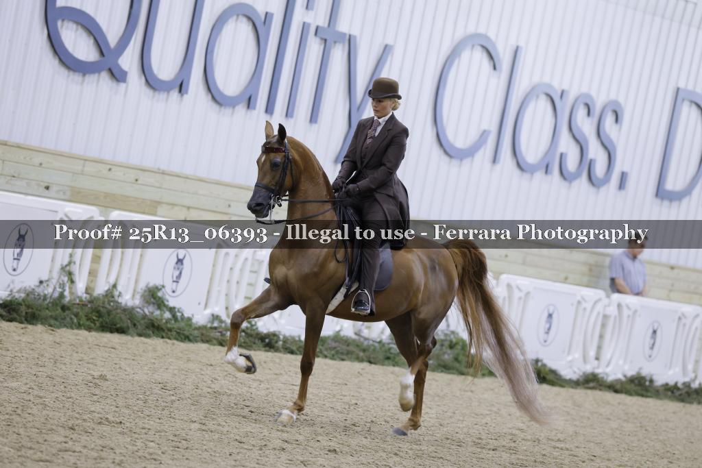 Proof Number 25R13_06393