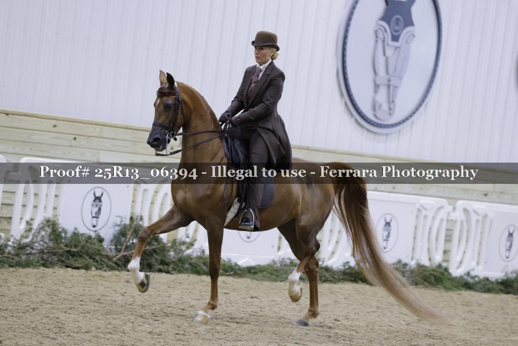 Proof Number 25R13_06394