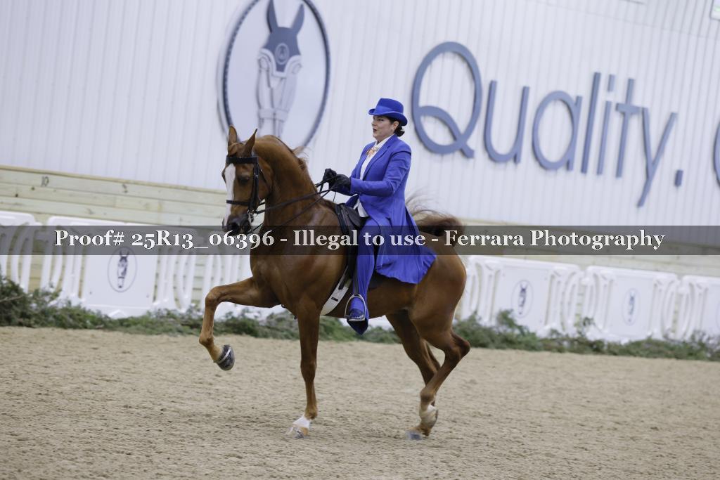 Proof Number 25R13_06396