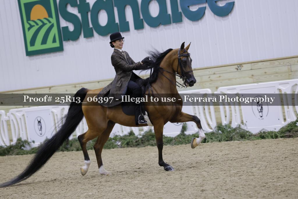 Proof Number 25R13_06397