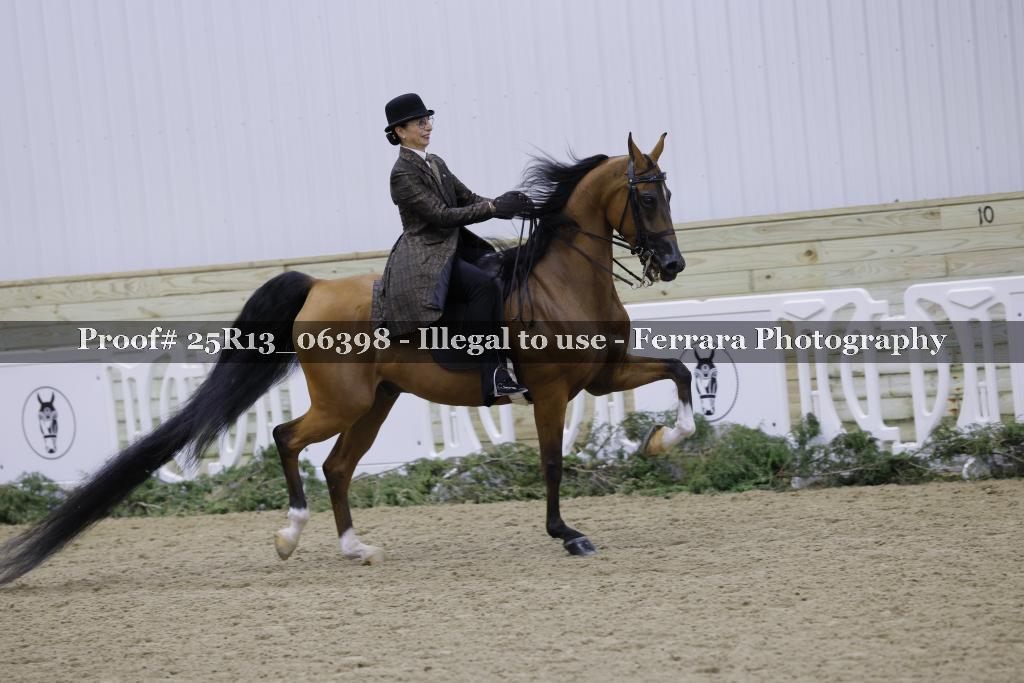 Proof Number 25R13_06398