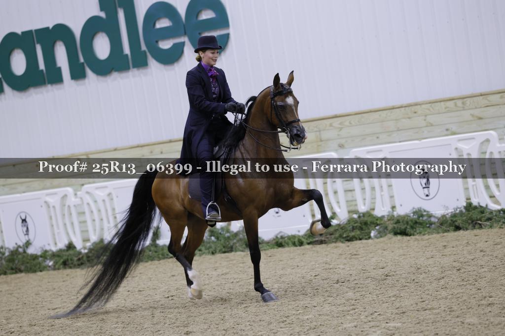 Proof Number 25R13_06399