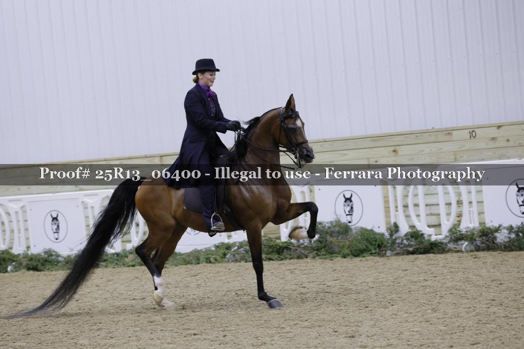 Proof Number 25R13_06400