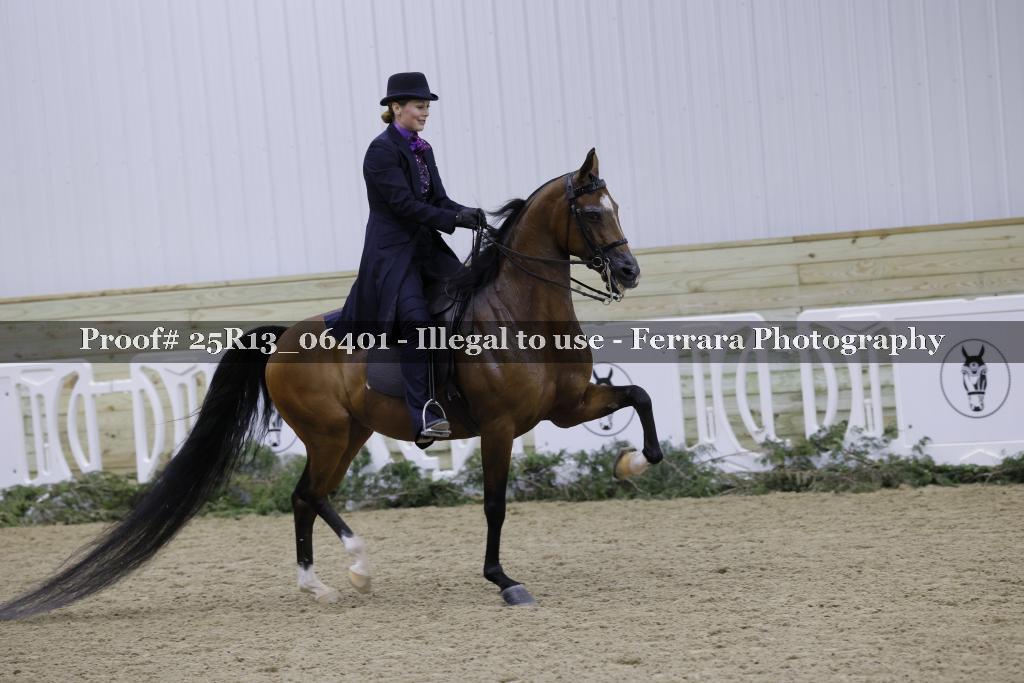 Proof Number 25R13_06401