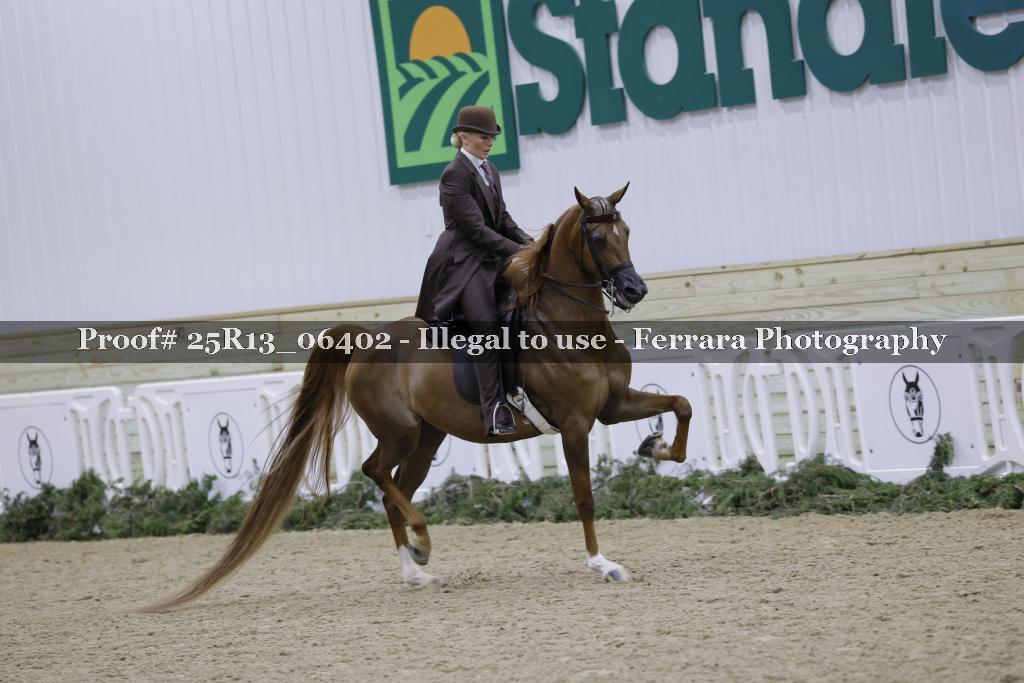 Proof Number 25R13_06402