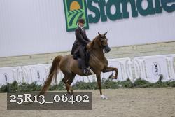25R13_06402 thumbnail