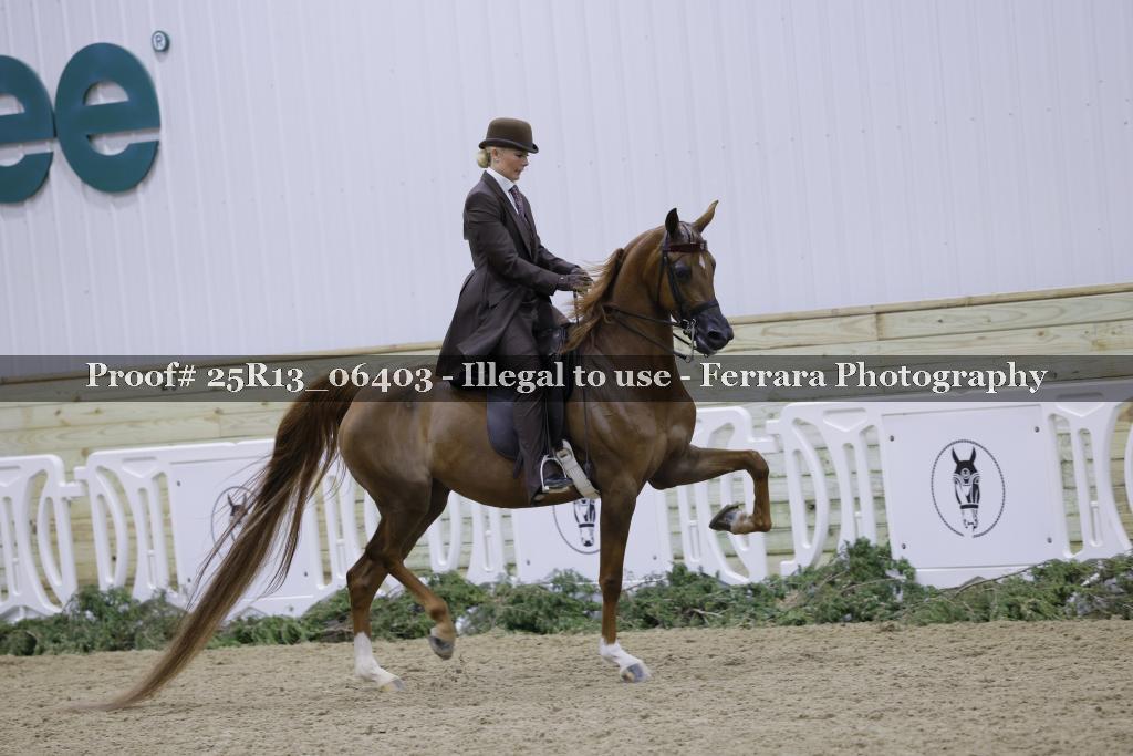 Proof Number 25R13_06403
