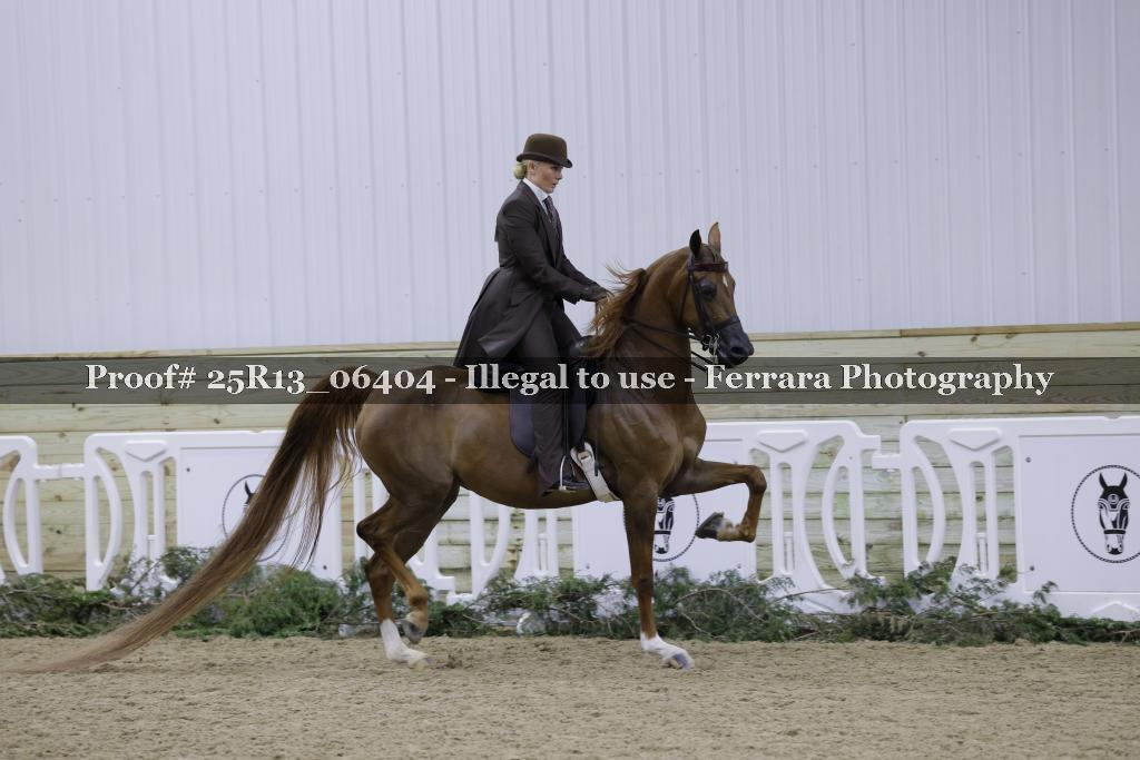 Proof Number 25R13_06404