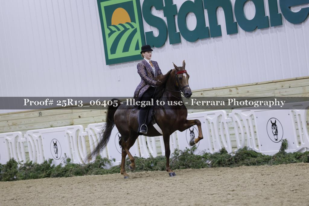 Proof Number 25R13_06405