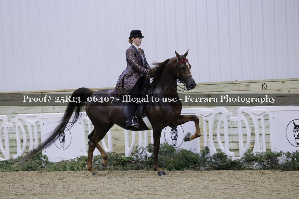 Proof Number 25R13_06407
