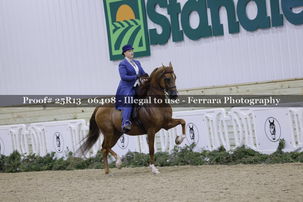 Proof Number 25R13_06408