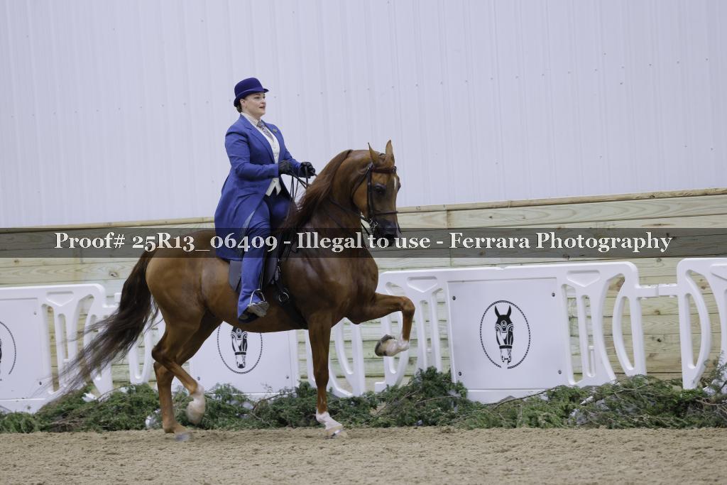 Proof Number 25R13_06409