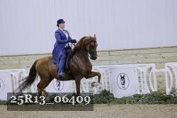 25R13_06409 thumbnail