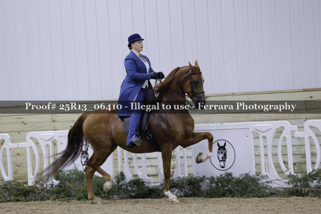 Proof Number 25R13_06410