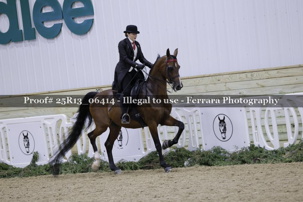 Proof Number 25R13_06414