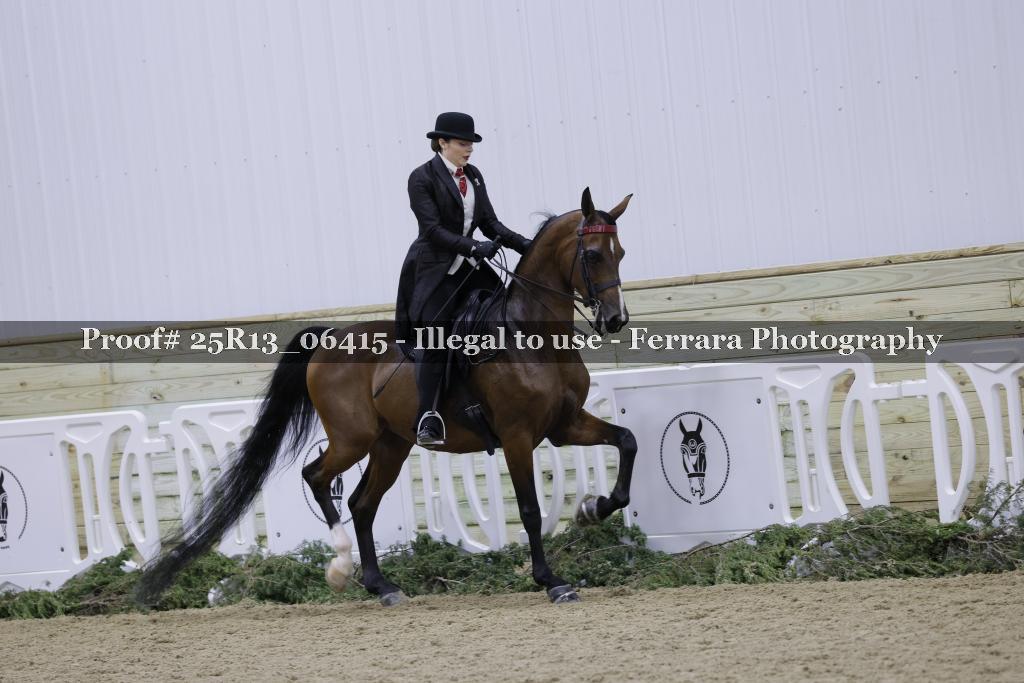 Proof Number 25R13_06415