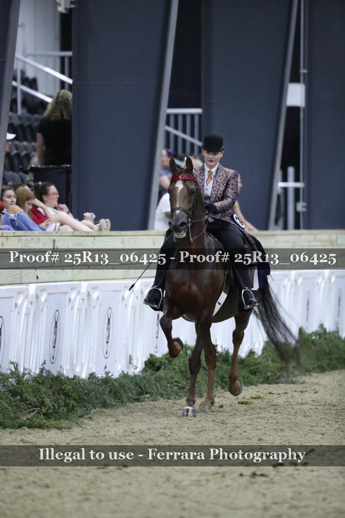 Proof Number 25R13_06425