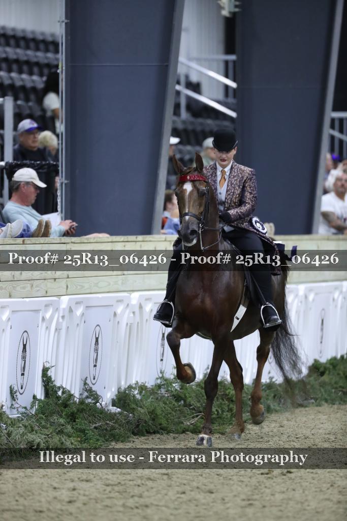 Proof Number 25R13_06426