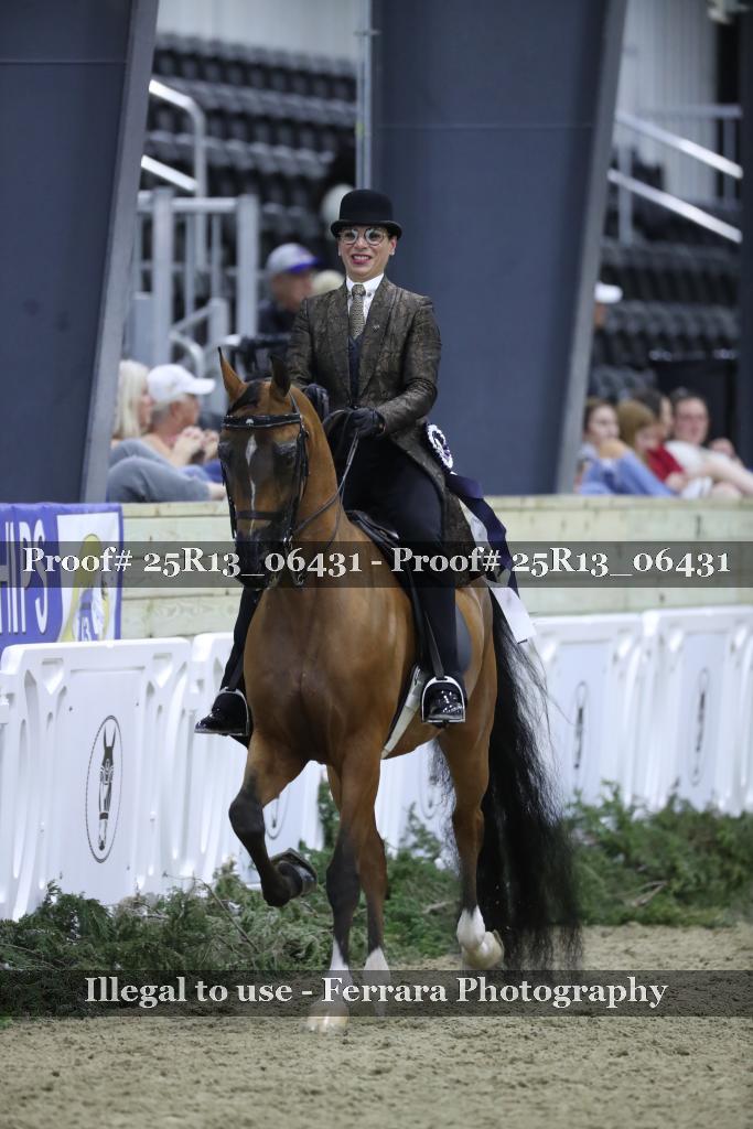 Proof Number 25R13_06431