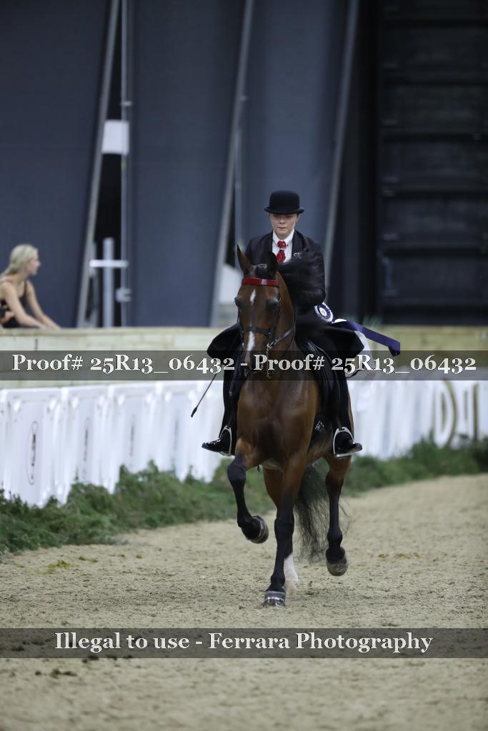 Proof Number 25R13_06432