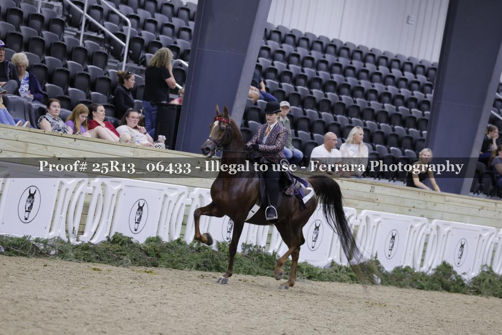 Proof Number 25R13_06433