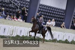 25R13_06433 thumbnail