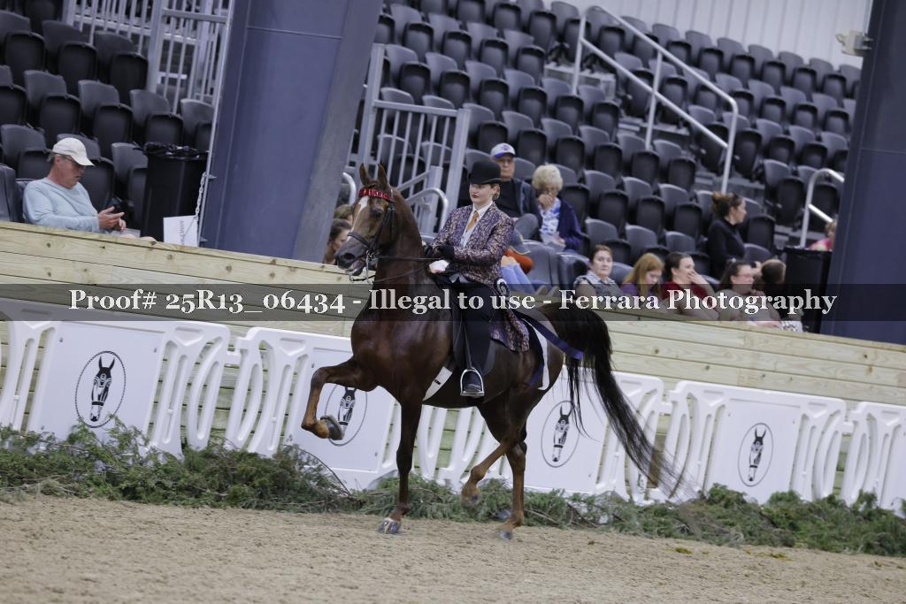 Proof Number 25R13_06434