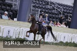 25R13_06434 thumbnail