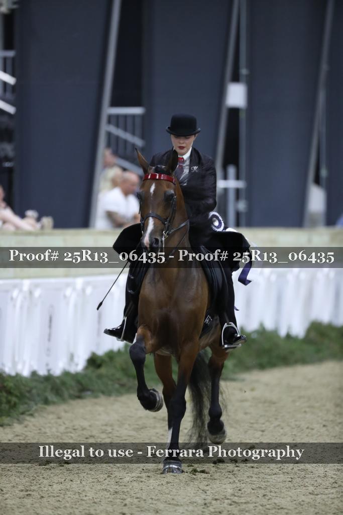 Proof Number 25R13_06435
