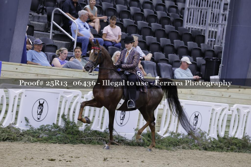 Proof Number 25R13_06436