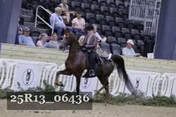 25R13_06436 thumbnail