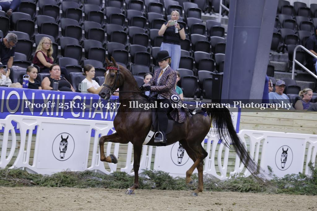 Proof Number 25R13_06437
