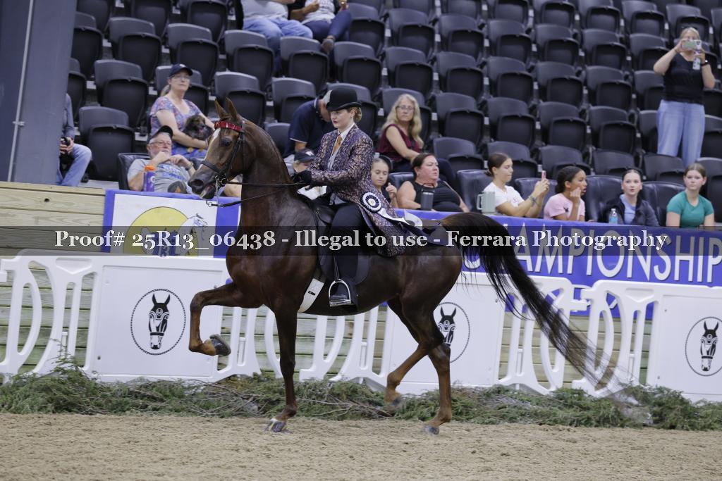 Proof Number 25R13_06438