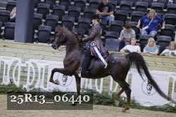25R13_06440 thumbnail