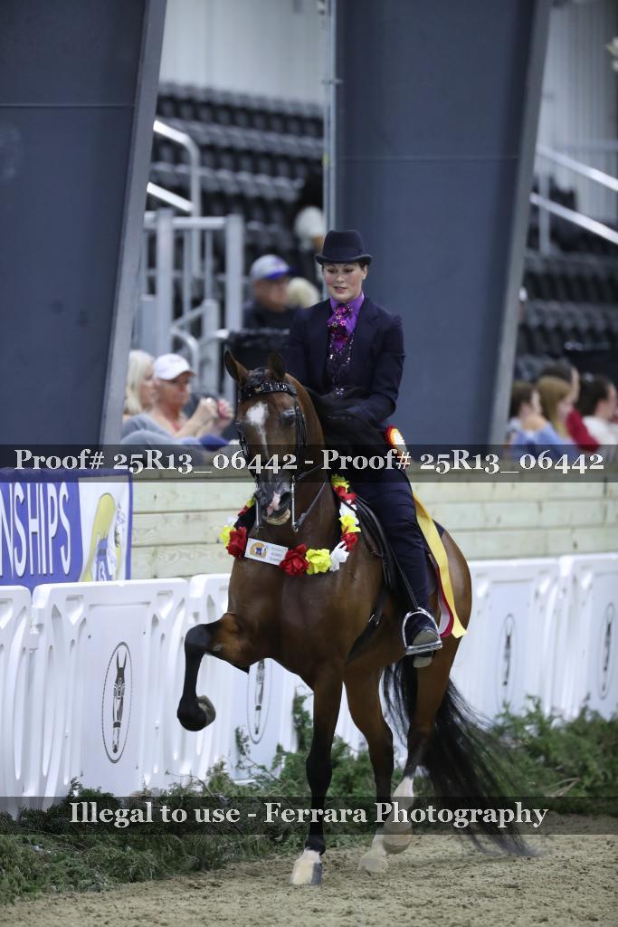 Proof Number 25R13_06442