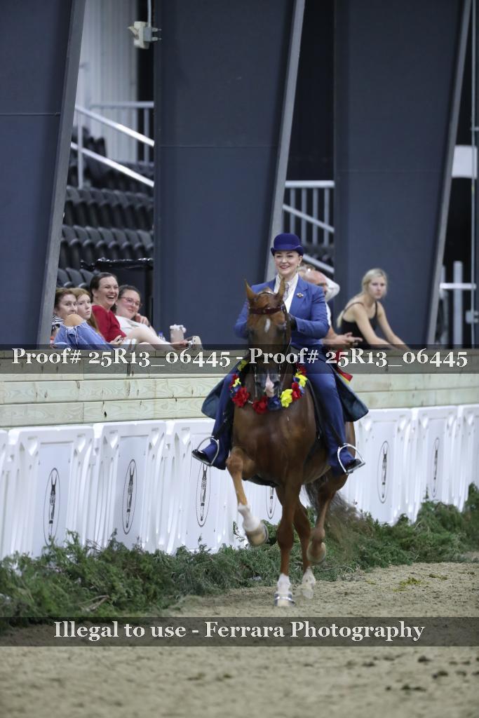 Proof Number 25R13_06445