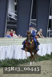 25R13_06445 thumbnail