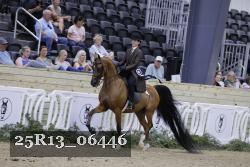 25R13_06446 thumbnail